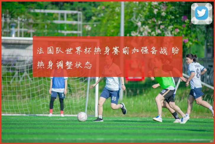 法国队世界杯热身赛前加强备战 盼热身调整状态